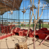 фото из отзыва ID 2674960