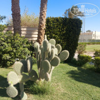 фото из отзыва ID 2674960