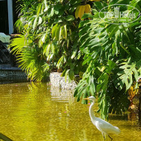 фото из отзыва ID 2675027