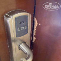 фото из отзыва ID 2675310