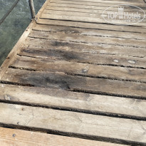 фото из отзыва ID 2675310