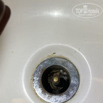 фото из отзыва ID 2675310