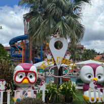 фото из отзыва ID 2675406