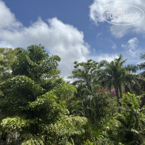 фото из отзыва ID 2675406