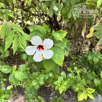 фото из отзыва ID 2675616