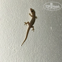 фото из отзыва ID 2675616