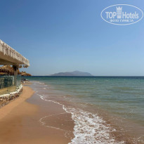 фото из отзыва ID 2675784