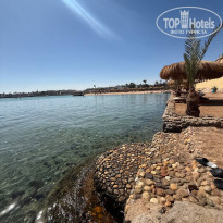 фото из отзыва ID 2674814