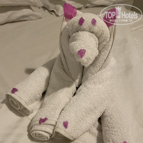 фото из отзыва ID 2675637