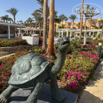 фото из отзыва ID 2676344