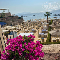 фото из отзыва ID 2676344