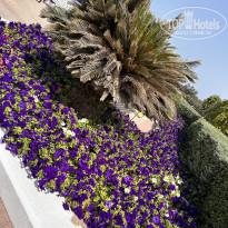 фото из отзыва ID 2676431