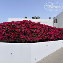 фото из отзыва ID 2676431
