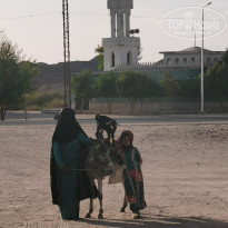 фото из отзыва ID 2676451