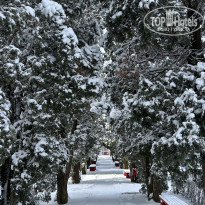фото из отзыва ID 2676460