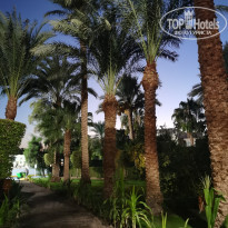 фото из отзыва ID 2676451