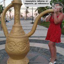 фото из отзыва ID 2676451