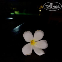 фото из отзыва ID 2676833