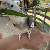 фото из отзыва ID 2676853