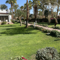 фото из отзыва ID 2676943