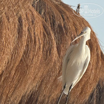 фото из отзыва ID 2677254