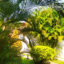 фото из отзыва ID 2677319
