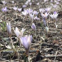 фото из отзыва ID 2677565