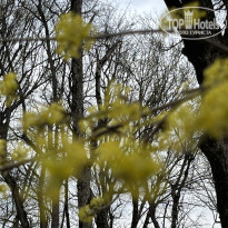 фото из отзыва ID 2677565