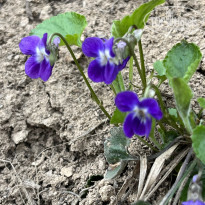 фото из отзыва ID 2677565