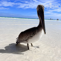 фото из отзыва ID 2677595