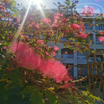 фото из отзыва ID 2677680