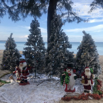 фото из отзыва ID 2677663