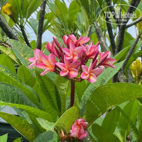фото из отзыва ID 2678064