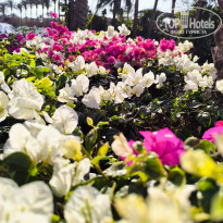 фото из отзыва ID 2678243