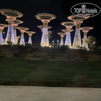 фото из отзыва ID 2678367