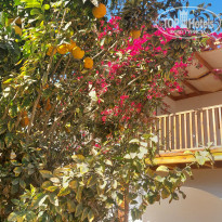 фото из отзыва ID 2678367