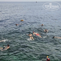 фото из отзыва ID 2678370