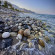 фото из отзыва ID 2678390