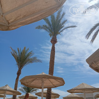 фото из отзыва ID 2678438