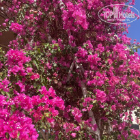 фото из отзыва ID 2678555