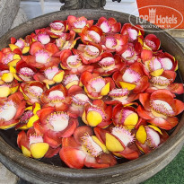 фото из отзыва ID 2678875