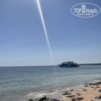 фото из отзыва ID 2679338