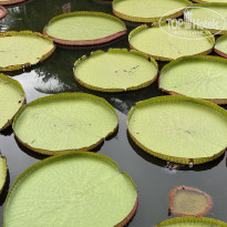 фото из отзыва ID 2679544