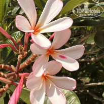 фото из отзыва ID 2679733