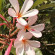 фото из отзыва ID 2679733