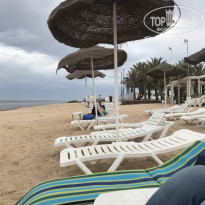 фото из отзыва ID 2679764