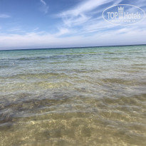 фото из отзыва ID 2679764