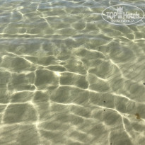 фото из отзыва ID 2679764