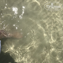 фото из отзыва ID 2679764