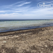 фото из отзыва ID 2679764